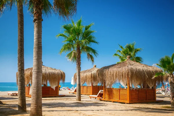 Vacker Strand Turkiet Med Mysiga Strand Bungalows Och Palmer — Stockfoto