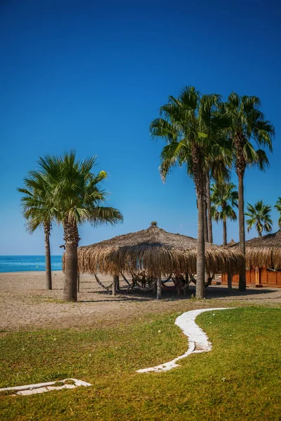 Tropischer Strandblick Mit Palmen Und Strandbaldachin Mit Hängematten — Stockfoto