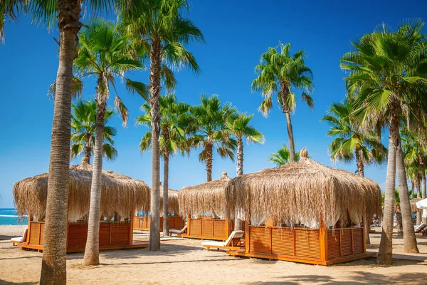 Strandhäuser Bungalows Und Palmen Strand Eines Türkischen Ferienortes — Stockfoto