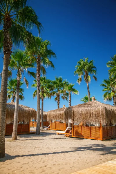Tropical View Beach Houses Palm Trees Beach Turkish Resort — Stock Photo, Image