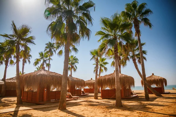 Zonnig Strand Met Strandhuisjes Bungalows Palmbomen Aan Het Strand Van — Stockfoto