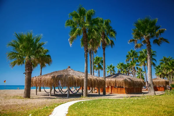 Prachtig Zomerstrand Met Palmbomen Strandhuisjes Bungalows — Stockfoto