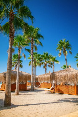 Türk tatil beldesinin plajında plaj bungalovları ve palmiye ağaçları olan tropikal manzara