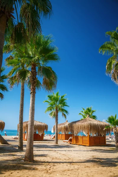 Tropischer Strand Der Türkei Mit Strandbungalows Und Palmen — Stockfoto