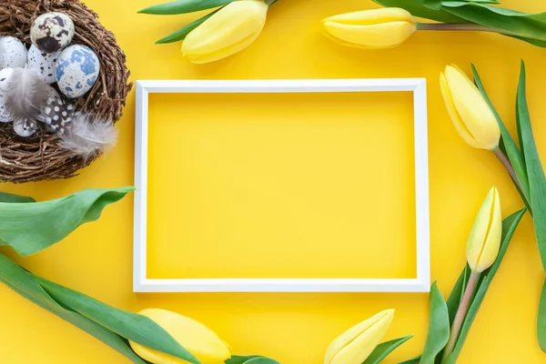 Πάσχα Διακοπές Φόντο Ορτύκια Φωλιά Αυγά Κορνίζα Και Λουλούδια Τουλίπα — Φωτογραφία Αρχείου