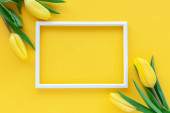 Plochá pohlednice s prostorem pro text. Fotorámeček a žlutý tulipán květiny na žlutém pozadí. Koncept jarních prázdnin.