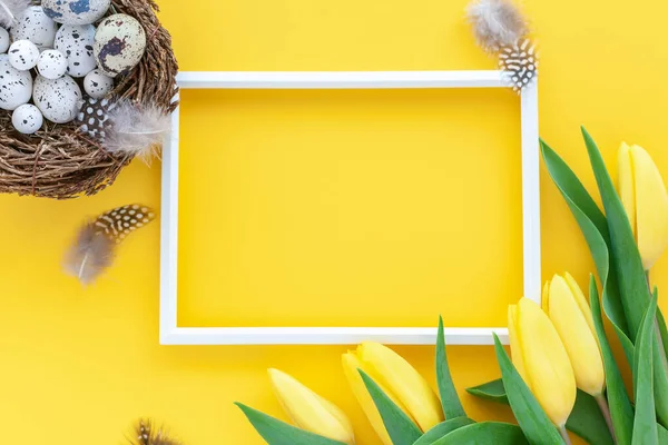 Πασχαλινό Φόντο Διακοπών Φωλιά Ορτυκιού Κορνίζα Φτερά Και Κίτρινα Λουλούδια — Φωτογραφία Αρχείου