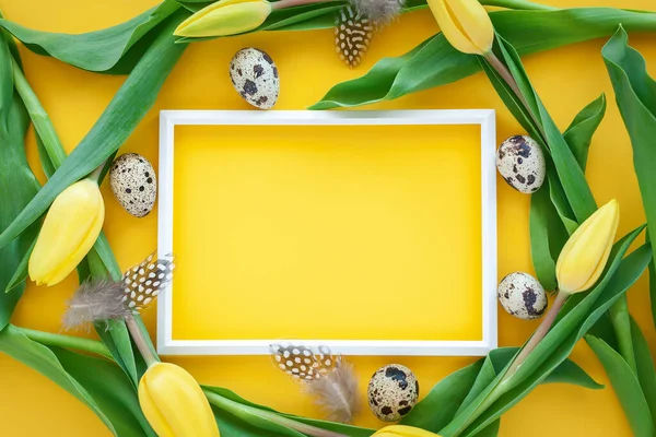 Πασχαλινές Διακοπές Αυγά Ορτυκιού Κορνίζα Φτερά Και Κίτρινα Λουλούδια Τουλίπας — Φωτογραφία Αρχείου
