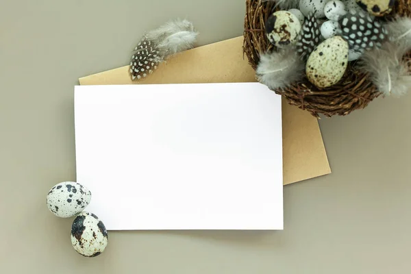 Πασχαλινή Μακέτα Λευκή Επιστολή Πασχαλινά Αυγά Και Φωλιά Ορτυκιού Παστέλ — Φωτογραφία Αρχείου