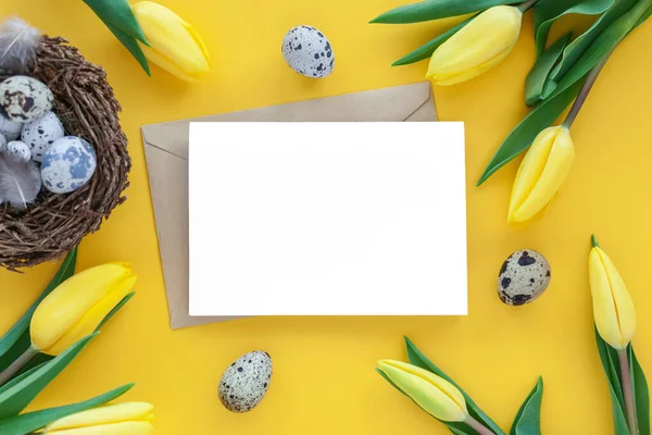 Πασχαλινό Φόντο Φωλιά Ορτυκιού Κενό Γράμμα Και Κίτρινα Λουλούδια Τουλίπας — Φωτογραφία Αρχείου