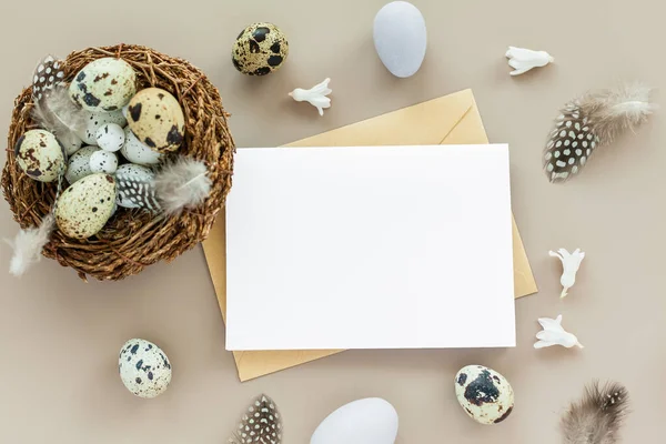 Πάσχα Φόντο Ορτύκια Φωλιά Άδειο Γράμμα Και Πασχαλινά Αυγά Παστέλ — Φωτογραφία Αρχείου