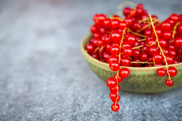 Primo Piano Ribes Rosso Fresco Maturo Una Ciotola Sfondo Grigio — Foto Stock