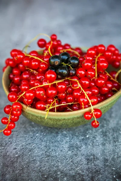 Mazzo Ribes Nero Una Ciotola Con Ribes Rosso Sfondo Grigio — Foto Stock