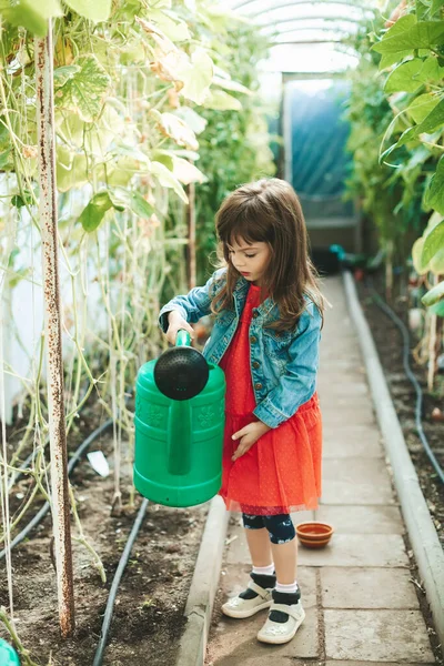 Cute Llittle Girl Watering Plants Big Watering Can Greenhouse — Stock Photo, Image