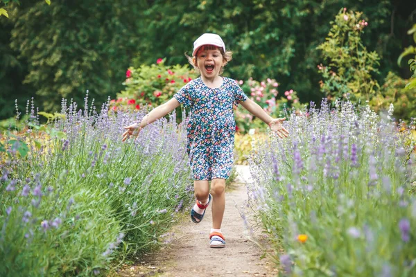 Feliz Niña Riendo Corriendo Entre Flores Lavanda Jardín Floreciente —  Fotos de Stock