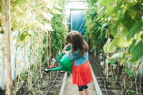 Cute Llittle Girl Years Old Watering Vegetables Big Watering Can — Stock Photo, Image