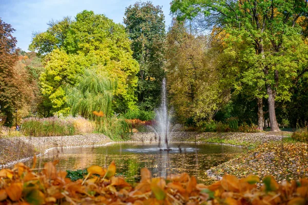 Vackert Höstlandskap Med Fontänen Dammen Bernardinu Park Vilnius Litauens Huvudstad — Stockfoto