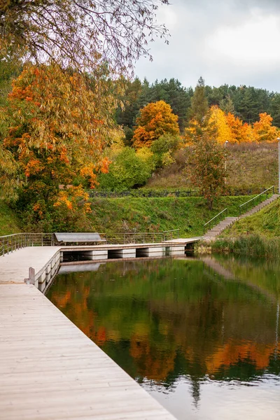 Vertikalt Höstlandskap Parken Vilnius Litauen Lugnt Vatten Dammen Gamla Gröna — Stockfoto
