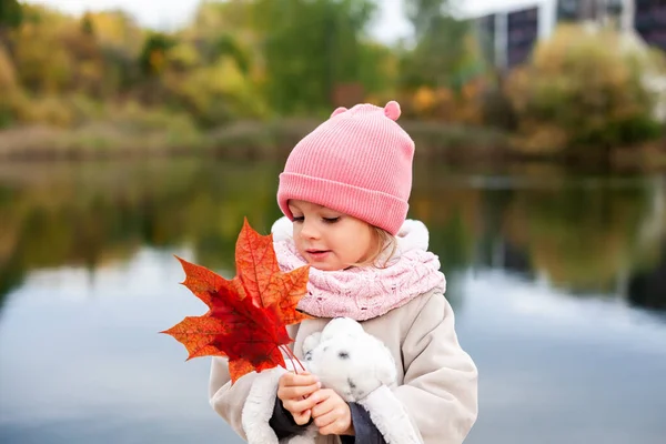 Adorable Little Girl Holding Red Maple Leaves Her Hands She — Stock Photo, Image
