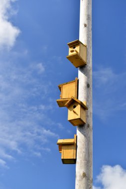 iç içe geçmiş kutular