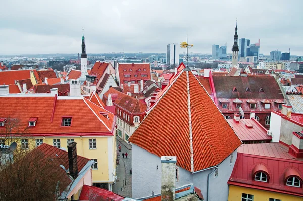 Techos del antiguo Tallin —  Fotos de Stock