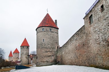 eski Tallinn çatılar