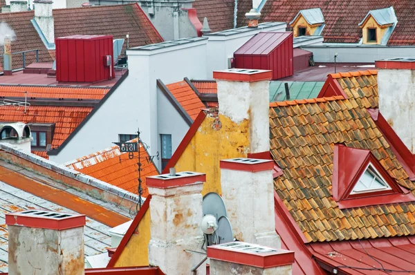 Eski Tallinn çatılar — Stok fotoğraf