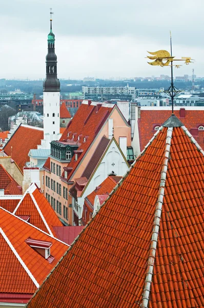 Daken van het oude tallinn — Stockfoto