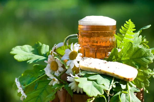 Traditional latvian events Ligo. Composition with beer and chamomiles — Stock Photo, Image