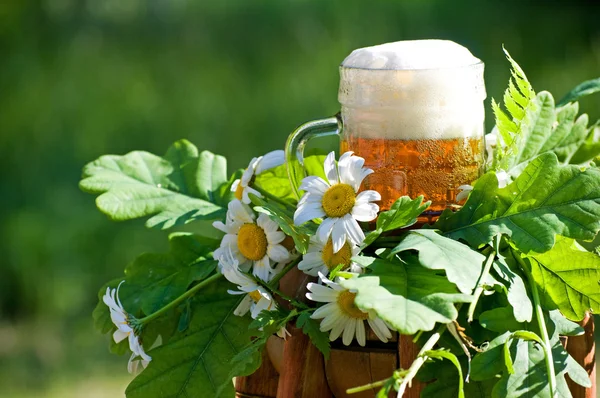 Traditional latvian events Ligo. Composition with beer and chamomiles — Stock Photo, Image