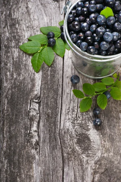 Blueberry — Stock Photo, Image