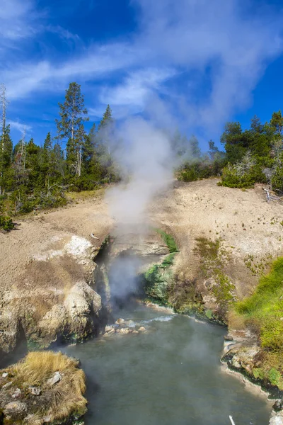 Het Nationaalpark Yellowstone — Stockfoto