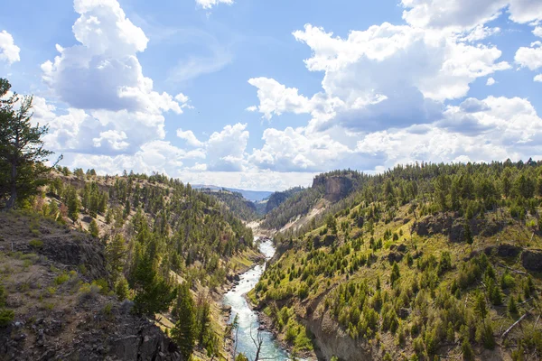 Parque Nacional de Yellowstone — Fotografia de Stock