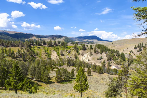 Yellowstone National Park — Stock Photo, Image