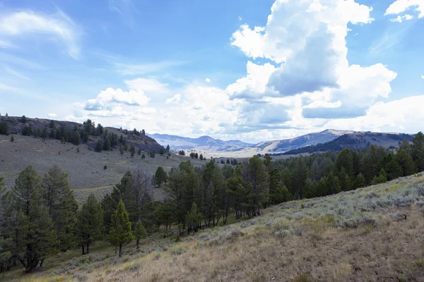 Yellowstone National Park — Stock Photo, Image