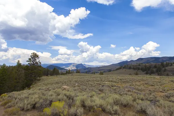 Yellowstone National Park — Stock Photo, Image