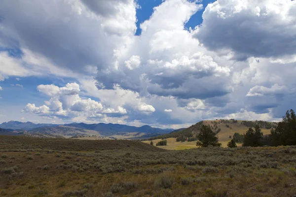 Parque Nacional de Yellowstone — Fotografia de Stock