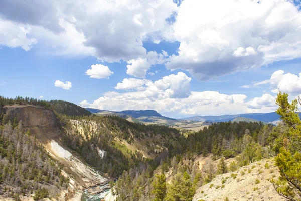 Yellowstone National Park — Stock Photo, Image