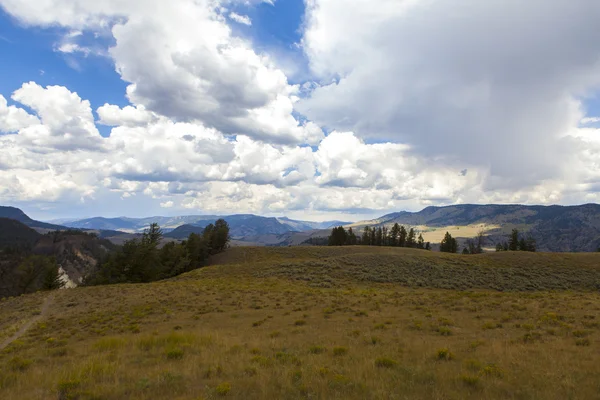 Yellowstone National Park — Stock Photo, Image