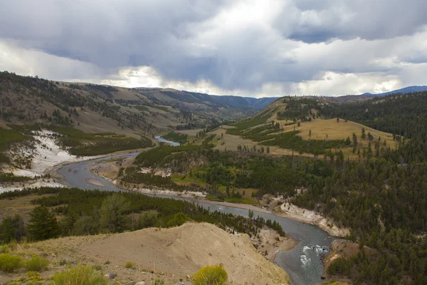 Yellowstone National Park — Stock Photo, Image