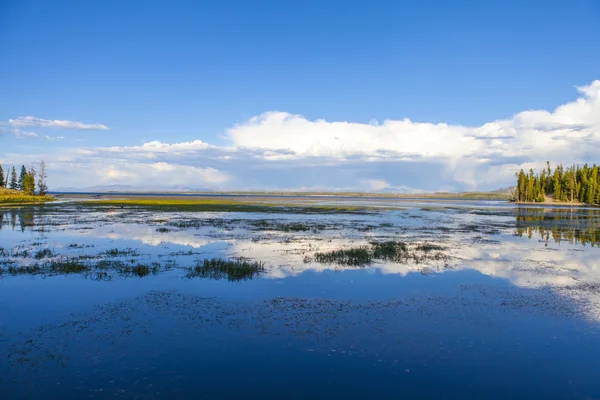 Yellowstone National Park — Stock Photo, Image