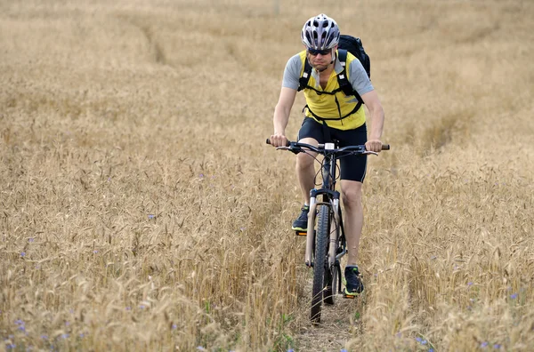 극단적인 자전거 스포츠 선수 남자 타고 야외 라이프 스타일 산길 — 스톡 사진
