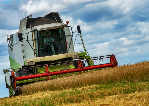 Menggabungkan pemanen pada ladang gandum — Stok Foto