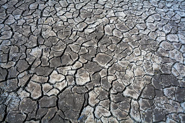 Bir doku olarak kurak mevsiminde Kuru toprak çatlaklar — Stok fotoğraf