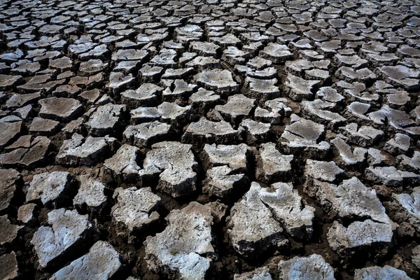 Praskliny v sušených půdy v suchých období jako texturu — Stock fotografie