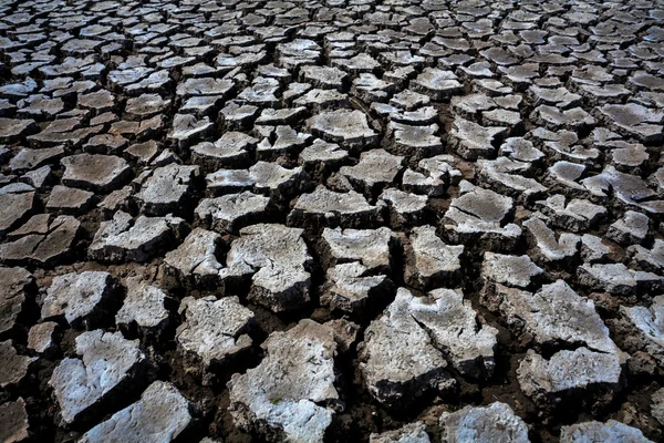 Bir doku olarak kurak mevsiminde Kuru toprak çatlaklar — Stok fotoğraf