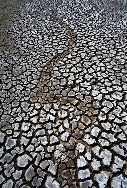 Praskliny v sušených půdy v suchých období jako texturu — Stock fotografie