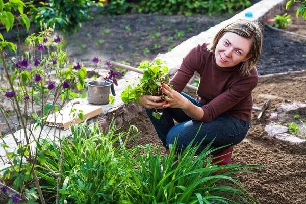 Mulher Jardinagem — Fotografia de Stock