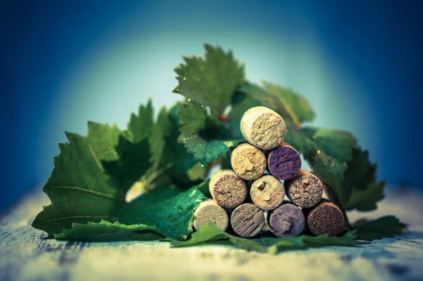 Corks wine with grape leaves — Stock Photo, Image