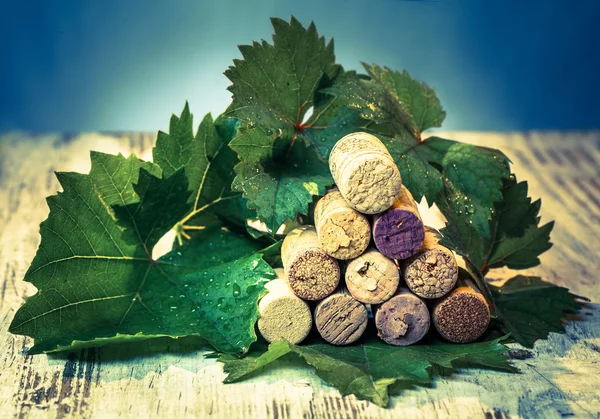 Пробки вино з виноградним листям — стокове фото